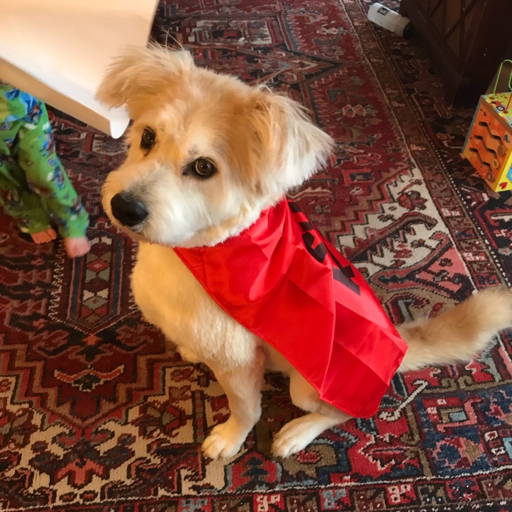 Meet your Posher, Anna